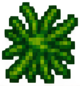 Grüne Bohne