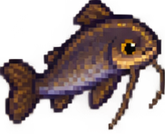 Katzenfisch