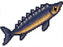 Stör